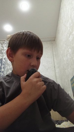 мои сквиши