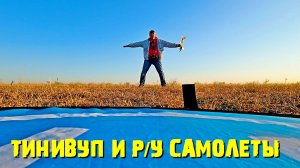 Тинивуп Pavo Pico и радиоуправляемые самолеты