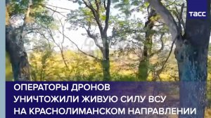 Операторы дронов уничтожили живую силу ВСУ на краснолиманском направлении
