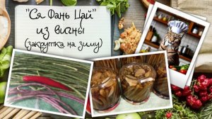 «Ся Фань Цай» из вигны — как считают китайские мудрецы, это лучший источник энергии Ци