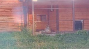 SSTH2303_15.08.2026_Видео от Ивана