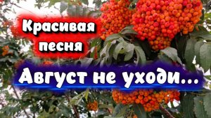 Новая красивая песня АВГУСТ НЕ УХОДИ...