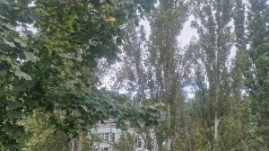 ДОБРОЕ УТРО ДРУЗЬЯ🤗🥰💯💥