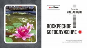 16.08.2026 | Воскресная литургия в Церкви «Дом Евангелия на курорте Красная Поляна»