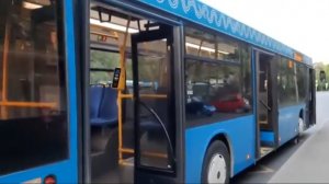 Поездка на автобусе МАЗ-203.069 по маршруту 405