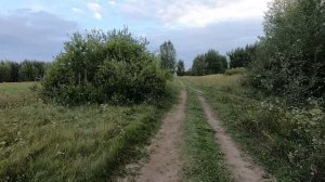 Лес в августе 2026года открылся новинкой