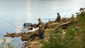 Почему рыбы в водоемах становится меньше? 3 основные причины