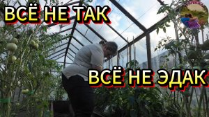 НЕВЕЗУЧИЙ ДЕНЬ
