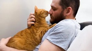 Никаких слов, никаких сомнений, никаких расчетов… просто Кошачья ЛЮБОВЬ ❤