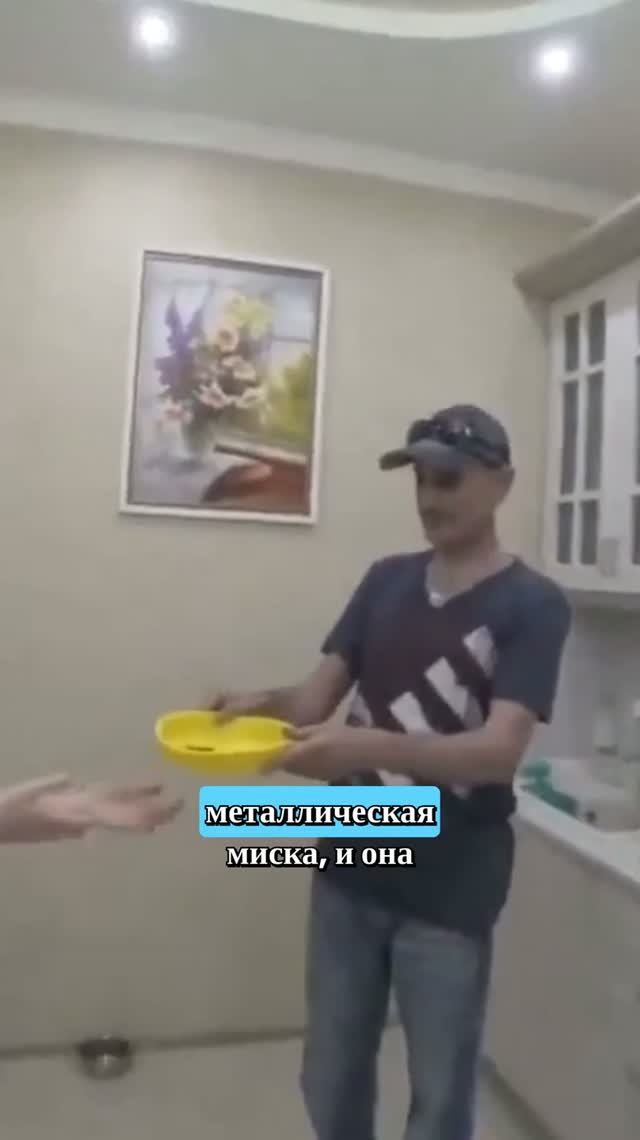 Почему собака боялась гремящей миски и как это исправить