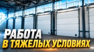 Секционные ворота и PIR-панели DoorHan для авторазбора — надежность в тяжелых условиях