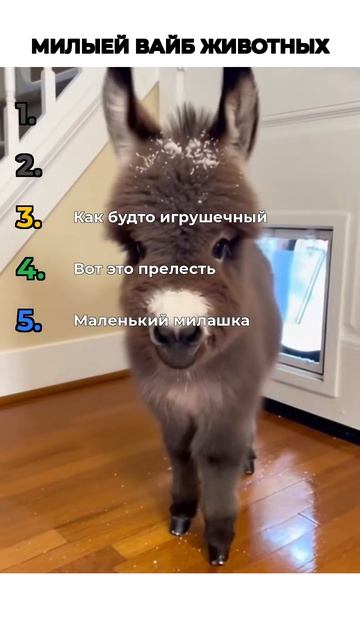 МИЛЫЙ ВАЙБ