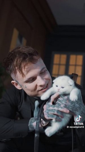 Вам нравятся малюсенькие кошечки мне да мне нравятся 🥰