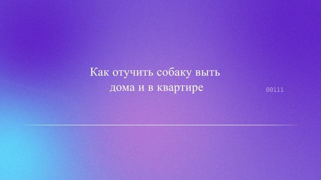 Как отучить собаку выть: дома и в квартире