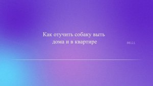 Как отучить собаку выть: дома и в квартире