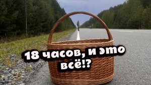 Боровики есть? Есть. НО ВЫ БЫ ИХ НЕ ВЗЯЛИ. Смотрите, почему! В конце P.S.