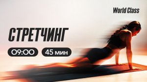 СТРЕТЧИНГ с Анастасией Филипьевой | 17 августа 2026 | Онлайн-тренировки World Class