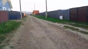 14-15-16 августа болталка / сходила на коррекцию ногтей/ мои коты/ уборка травы вокруг дома