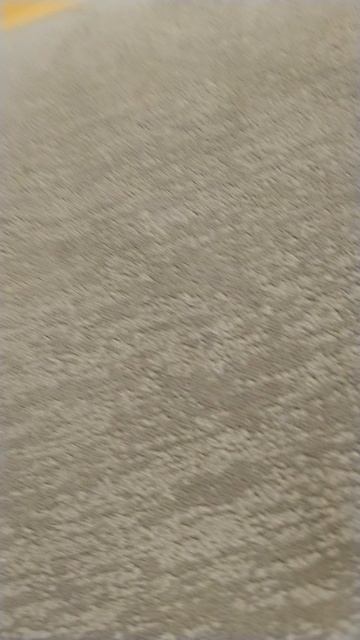 святео