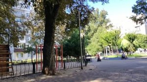 17.08. 2026 г. Жизнь ВПО Встали рано, все сдала По лабиринтам🙂Корма в запас и🥒🥒_ Пирог с 🍎🍏👍