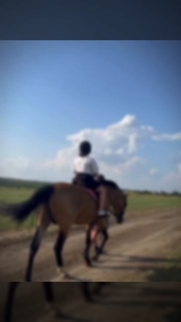 #эдит