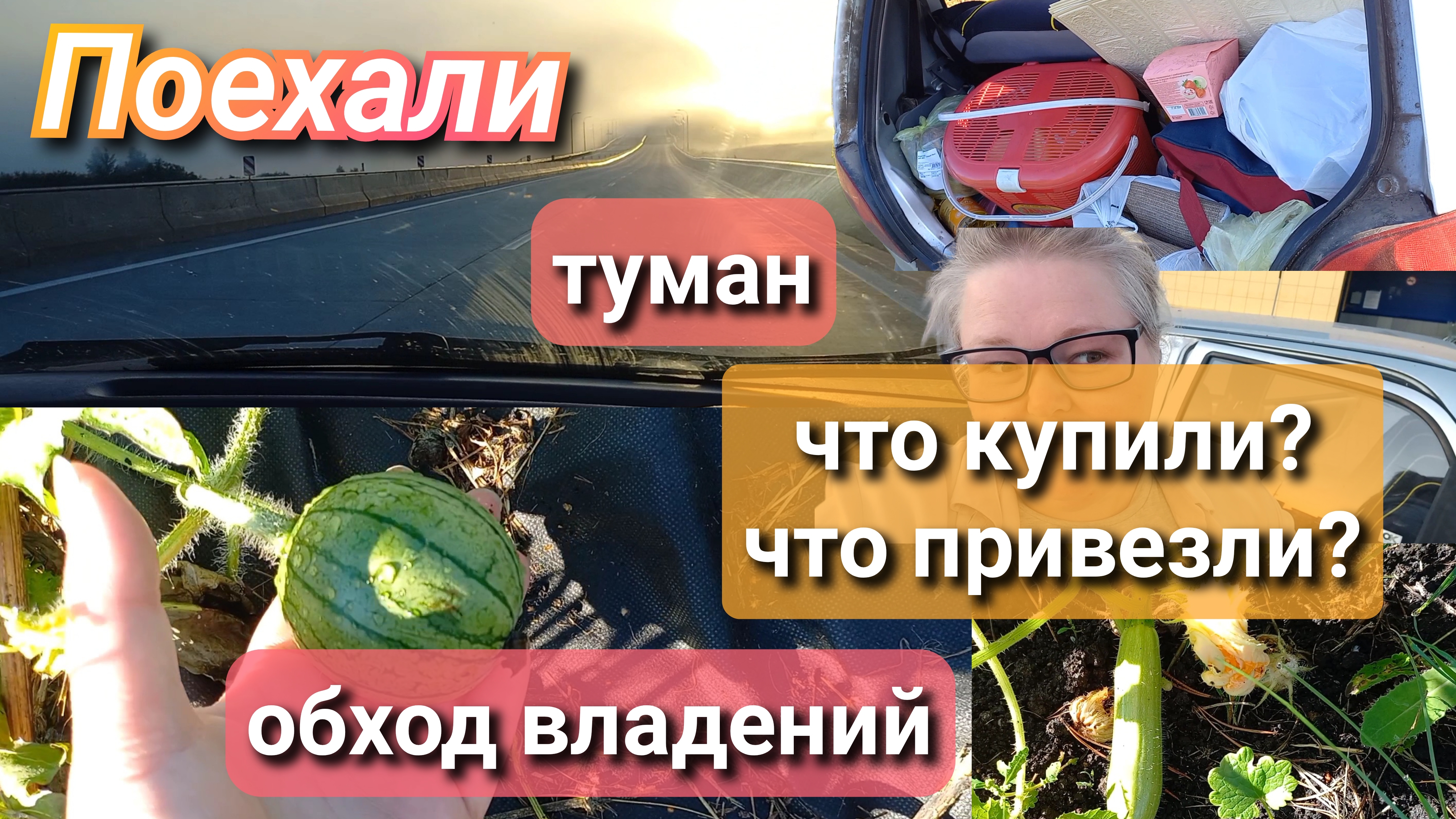 поехали//что купили//что привезли// обход владений