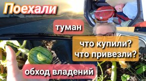 поехали//что купили//что привезли// обход владений