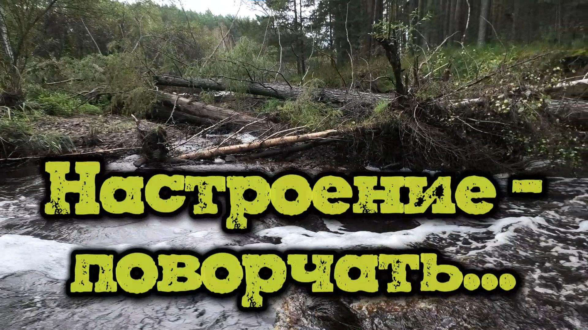 Настроение поворчать