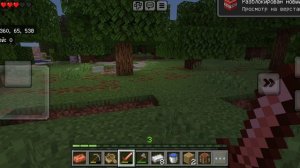 Minecraft спидран с другом!!