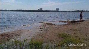 Красный карбункул