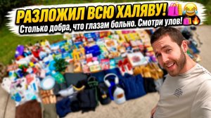 Огромный обзор покупок для колледжа — 6 часов «поиска сокровищ» в мусорных контейнерах!