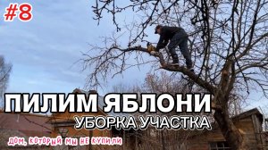 Дом, который мы не купили. Санитарная обрезка яблонь.