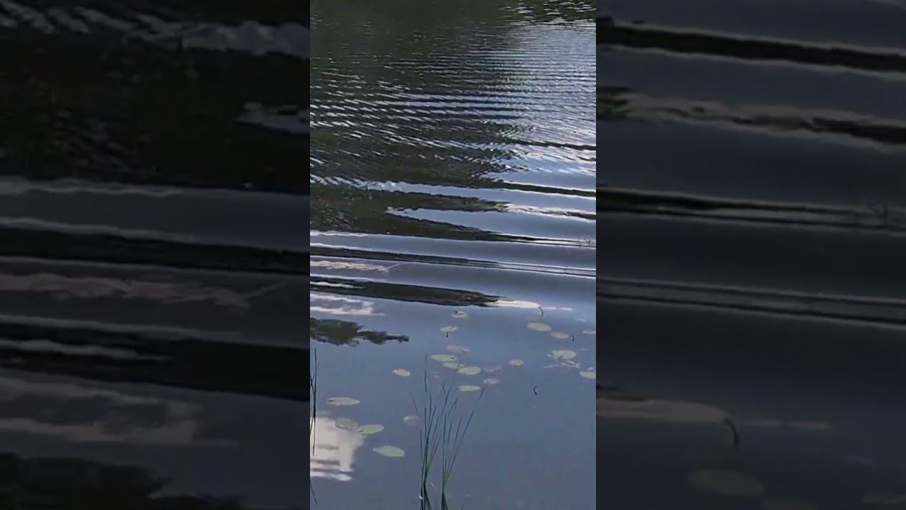 К тебе примчусь я на край света