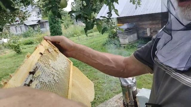 16 августа ВАЖНАЯ РАБОТА в конце сезона