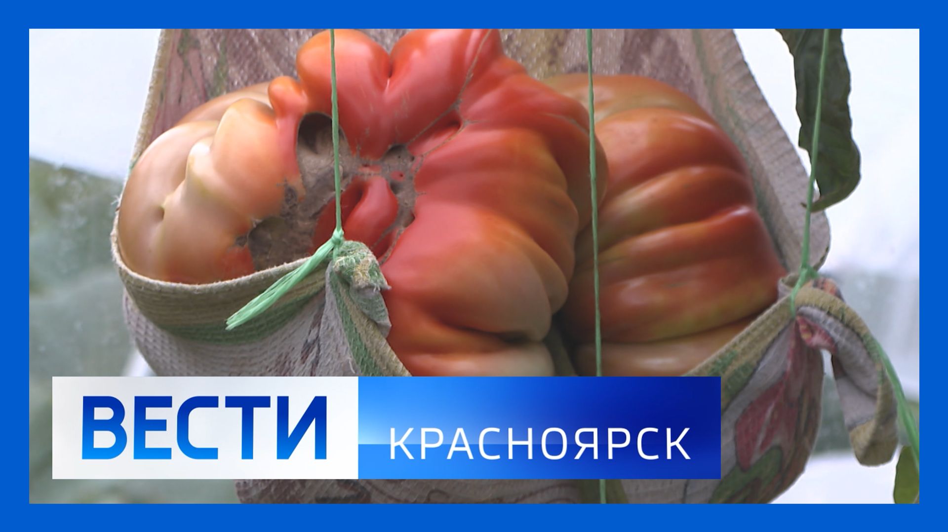 Вести. Красноярск от 14.08.2026