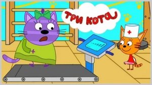 Три Кота