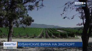 МИД РФ: кубанские вина добрались до Португалии, Нигерии и Сейшельских островов