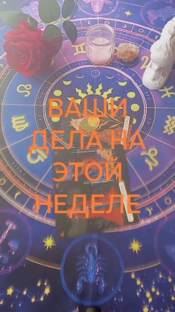 ВАША ДЕЯТЕЛЬНОСТЬ НА ЭТОЙ НЕДЕЛЕ