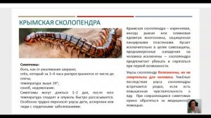 Первая помощь 2026 День 4 Первая помощь при укусах и ужаливаниях