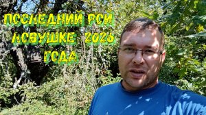 Последний рой 2026