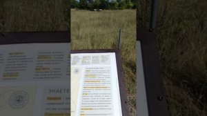 Дивногорье Воронежская область