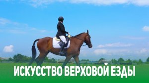 Искусство верховой езды