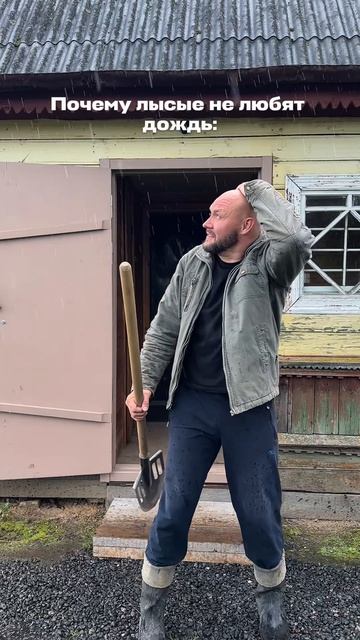 Почему лысые не любят дождь