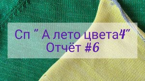 Сп «А лето цвета 4». Отчет #6. Участник #11