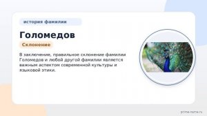 Фамилия Голомедов: происхождение, значение и склонение
