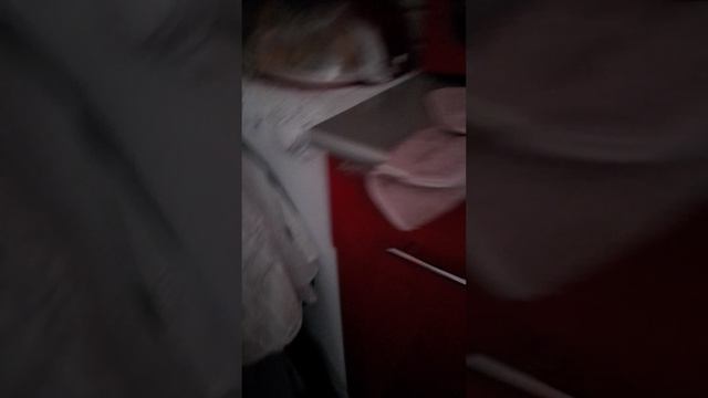 обзор на хату