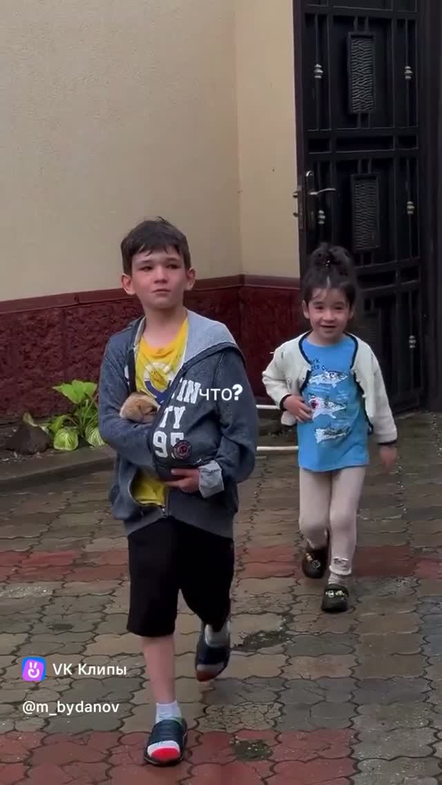 дети принесли домой щенка - 