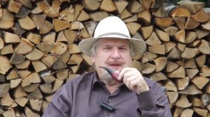 Почему мы ведем себя по разному. Различия между людьми не преодолеть