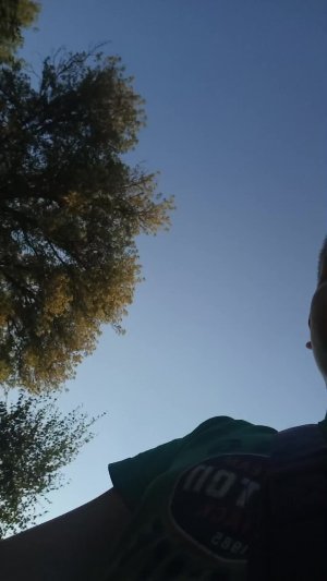 гуляем и идём в магаз