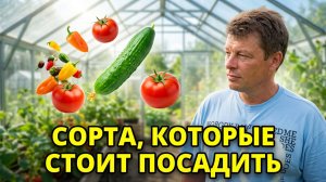 ОБЗОР УРОЖАЯ 2026: гигантский кабачок, море огурцов и лучшие сорта перца